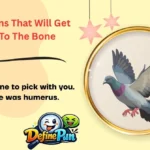 X-Ray Puns That Will Get Right To The Bone